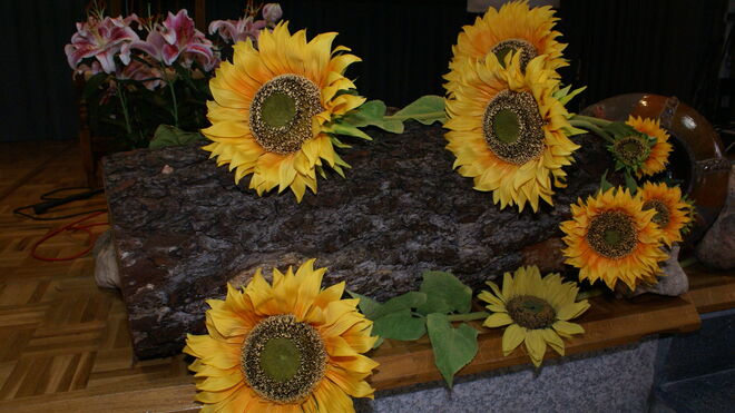 Lo primero: no hacer daño