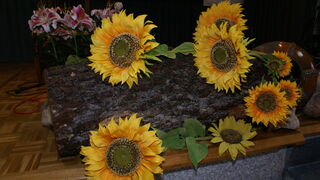 Lo primero: no hacer daño