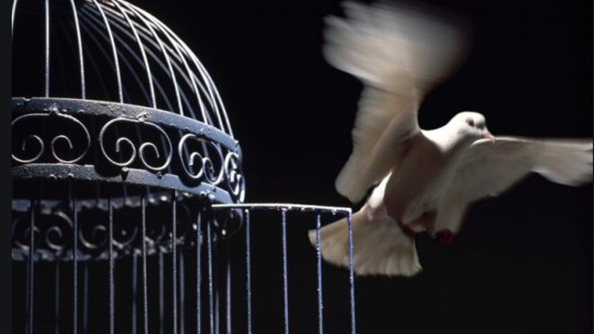 Libertad