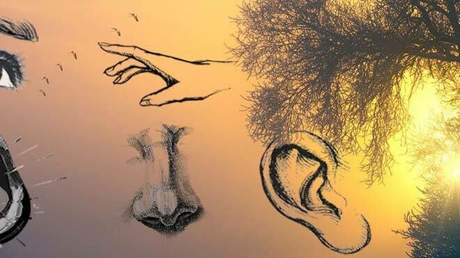 Una espiritualidad de los sentidos: una provocación inicial