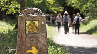 Pagola: "La peregrinación permite ahondar en lo esencial de la vida".