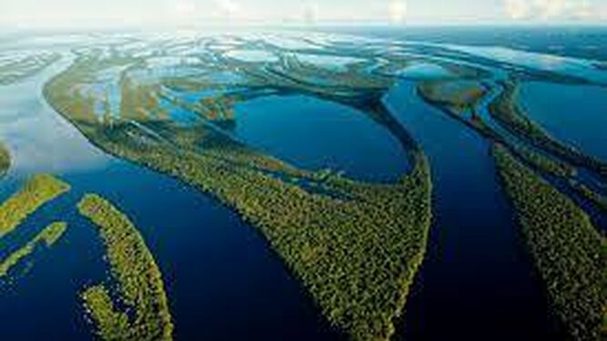 Río Amazonas