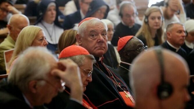 Sarah, Müller, Becciu, Burke, Viganò... la pelea de un grupo de cardenales contra el Papa