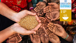 ¿Objetivo? Hambre cero