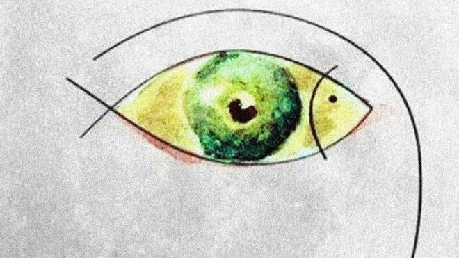 Aprender a mirar