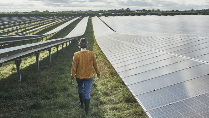 Paneles solares en una granja.