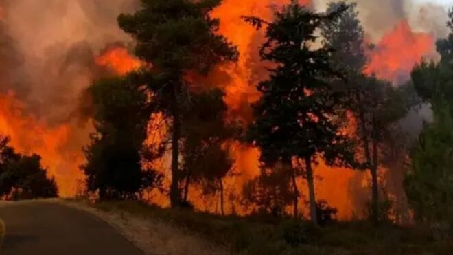 El Consejo Ecuménico de las Iglesias, solidario con los incendios en Jerusalén