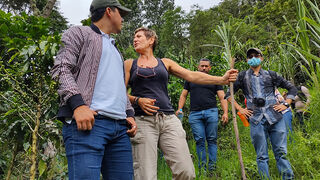 Productores de café hondureños
