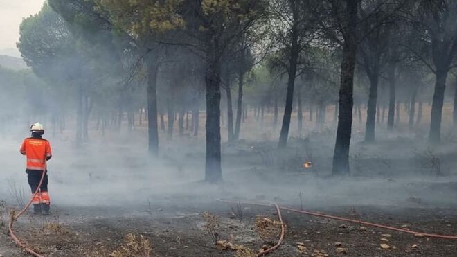Bombero en el incendio de Sierra Bermeja
