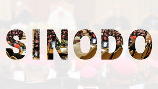 El Sínodo es una forma de mantener vivo el espíritu de colegialidad que nació del Concilio