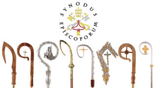 Se han celebrado 29 Asambleas del Sínodo de los Obispos