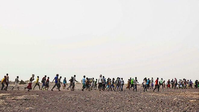 Migrantes