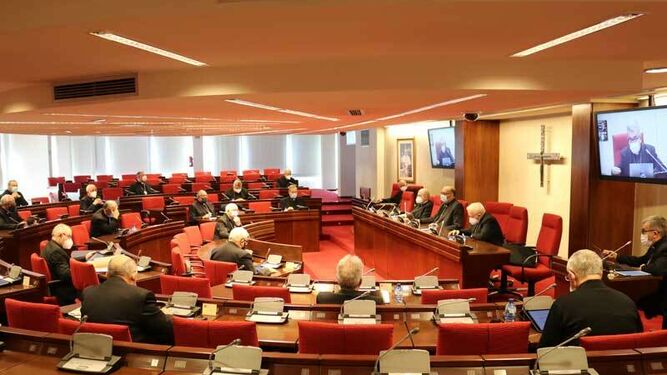 Los obispos españoles, contra el registro de médicos objetores de conciencia