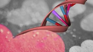 El amor forma parte del ADN del ser humano