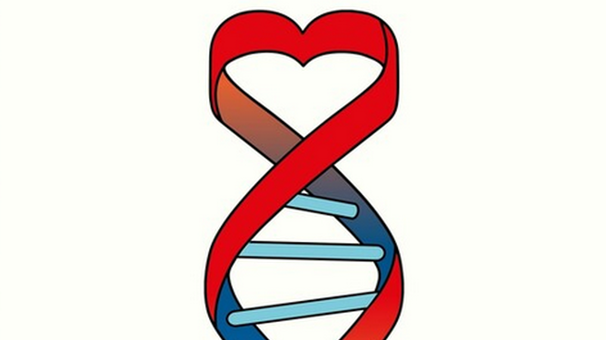 ADN