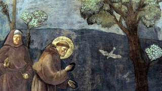Francisco de Asís. Giotto