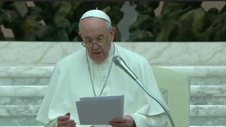 Francisco pidió a parlamentarios del G-20 que tengan un "rol decisivo" frente al cambio climático