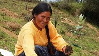 Las mujeres santas, una presencia divina