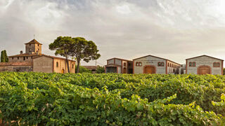 La viña del señor está en Reus