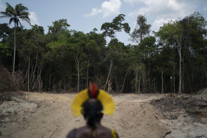 Cambio climático Amazonía