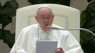 Francisco: "Hay gente que parece que vive entre habladurías, todos los días critican a los demás. ¡Mírate a ti mismo!"