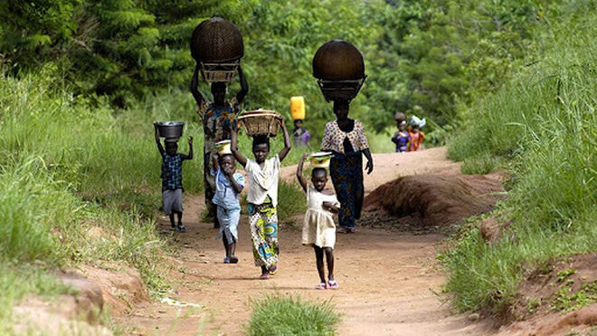 África: los bosques son sagrados