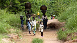 África: los bosques son sagrados
