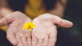 El perdón y la doctrina social de la Iglesia