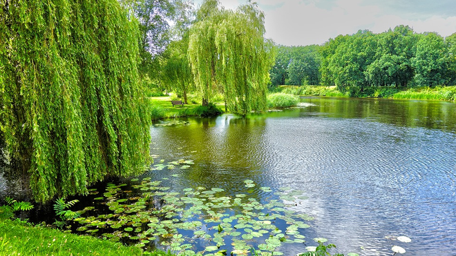 Un sorprendente don cotidiano