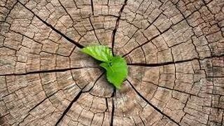 I Domingo de Adviento