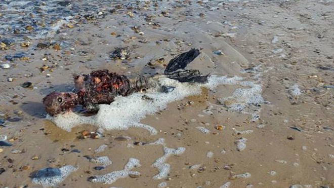 Emigrante muerto en el mar