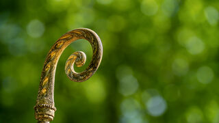 Faltan obispos o sobran diócesis