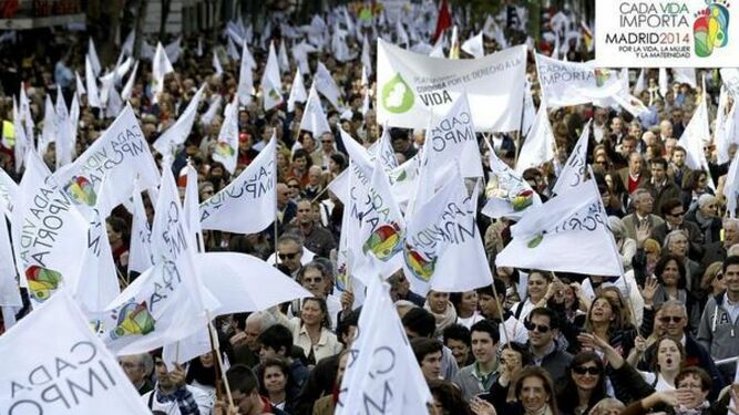 Manifestación promovida por Cada vida importa.