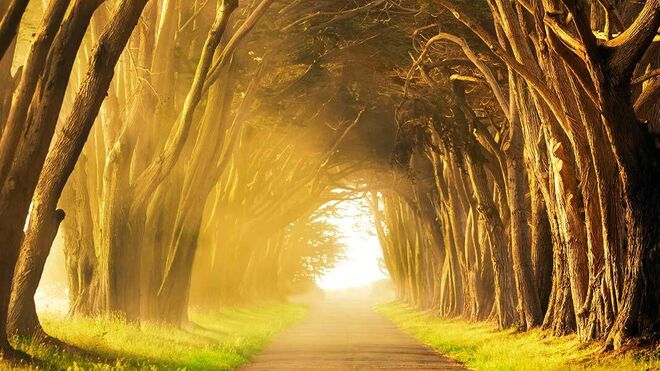 Camino