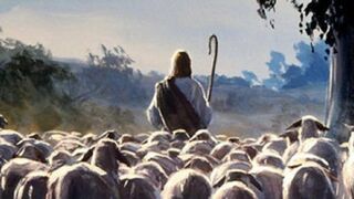 El pastor conoce a sus ovejas y éstas conocen su voz, hasta entonces solo es el cura nuevo