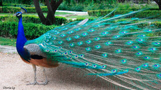 Tres poemas en el Paisaje de la Luz