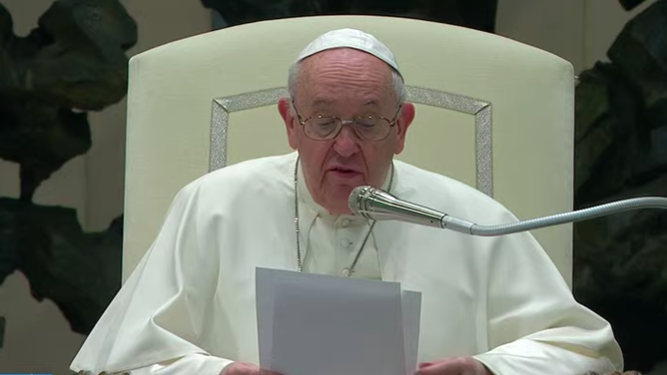 El papa, en la audiencia