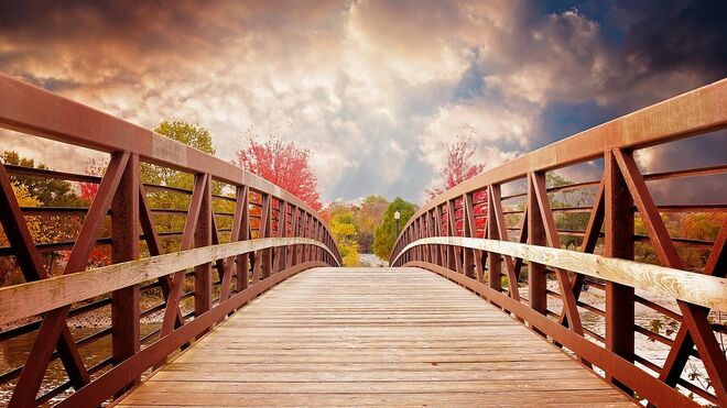 Humanización y bioética