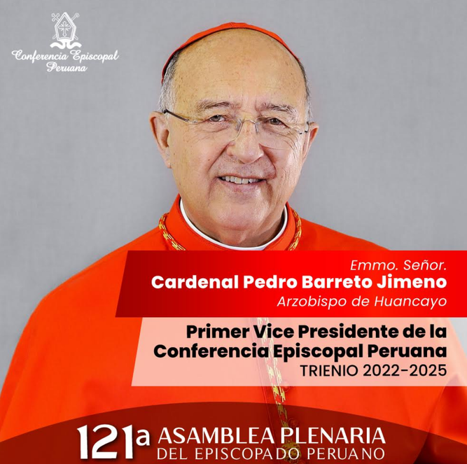 Cardenal Pedro Barreto