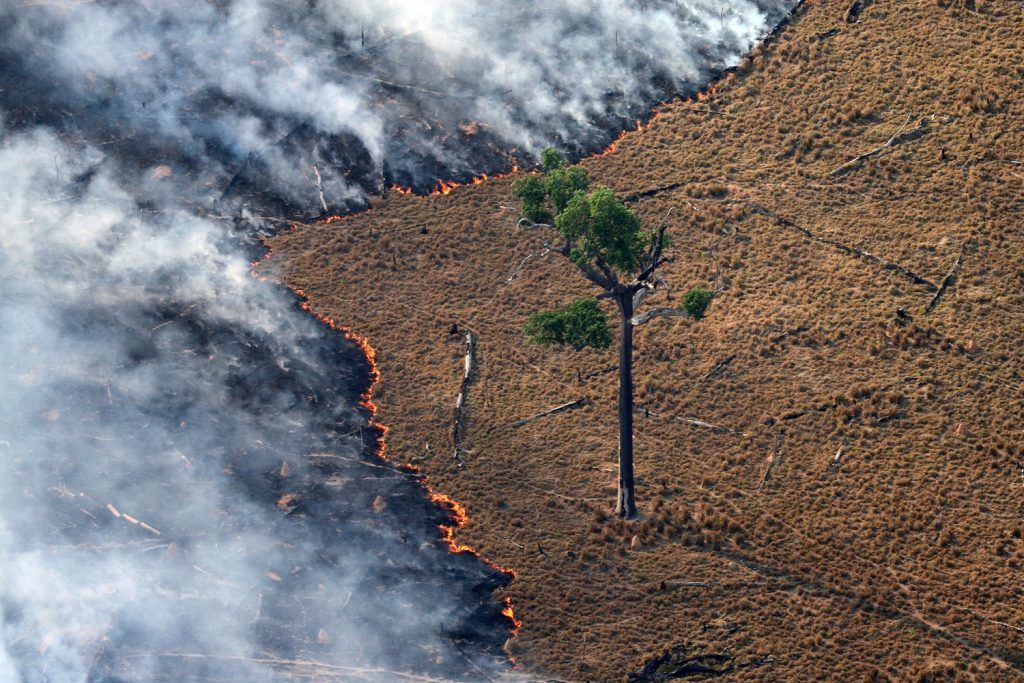 Incendios en la Amazonía