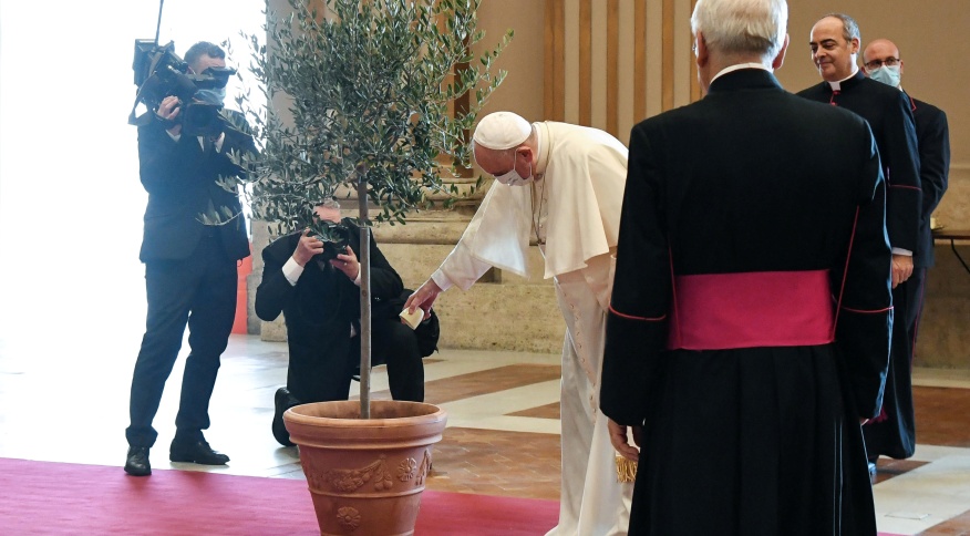 Papa Francisco cuidado de la casa común