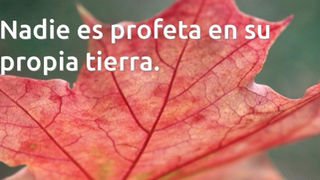 Nadie es profeta en su tierra