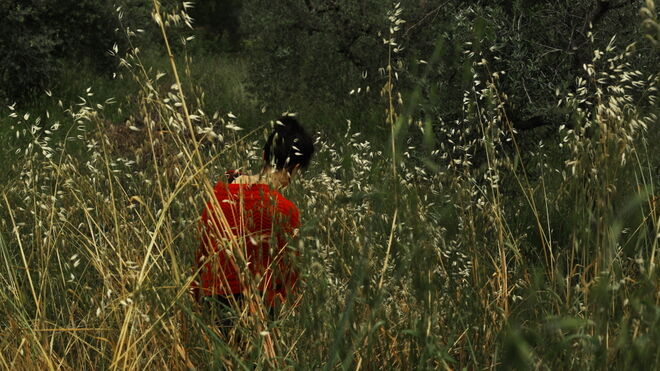 'Signos': Exposición testimonial en Roma sobre violencia machista
