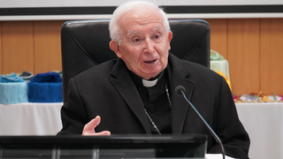 Cardenal Cañizares