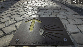 'Caminho Portugues da Costa'