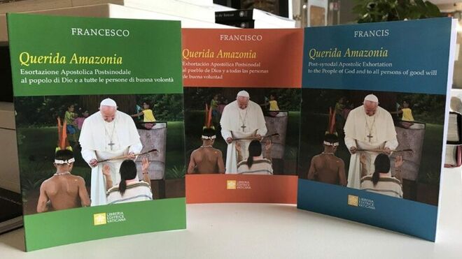 'Querida Amazonia'