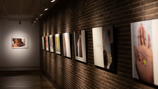 Exposición fotográfica 'Punto y seguimos. La vida'