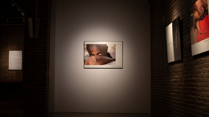 Exposición O_Lumen