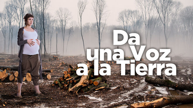 Movimiento Laudato Si'