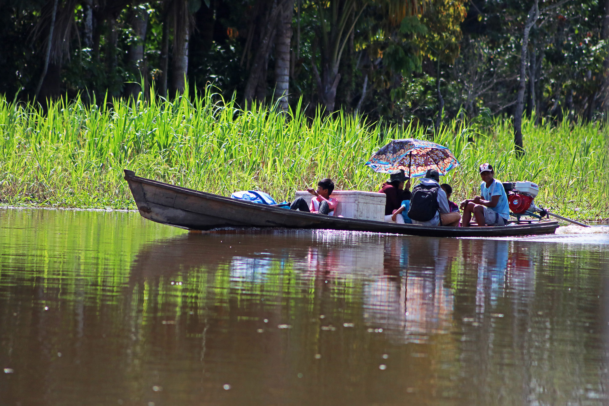 Amazonía